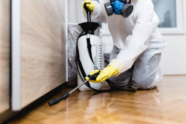Best Best Pest Control Companies  in Silver Lakes, CA