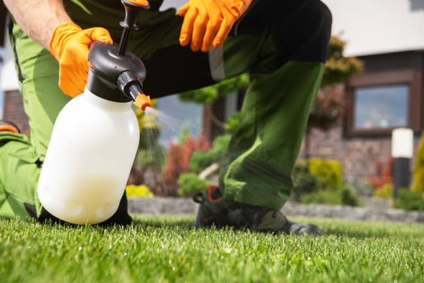 Reliable Silver Lakes, CA Pest Control Solutions