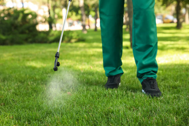 Best Pest Control Near Me  in Silver Lakes, CA
