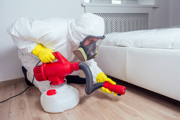 Best Local Pest Control Services  in Silver Lakes, CA