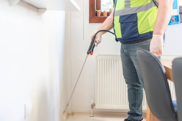 Wasp Removal Services in Silver Lakes, CA