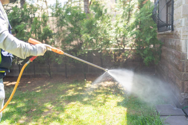 Best Pest Removal Services  in Silver Lakes, CA