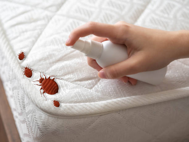 Best Exterminator Services  in Silver Lakes, CA