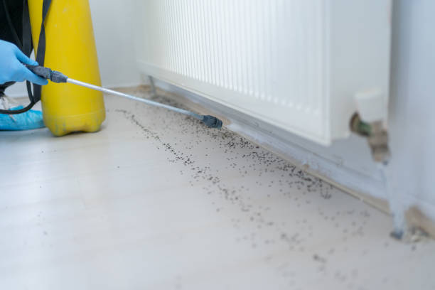 Best Wildlife Control Services  in Silver Lakes, CA