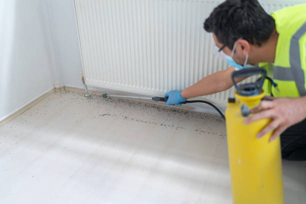 Best Wasp Removal Services  in Silver Lakes, CA