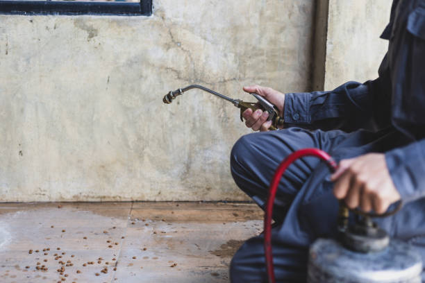 Best Pest Control Near Me  in Silver Lakes, CA