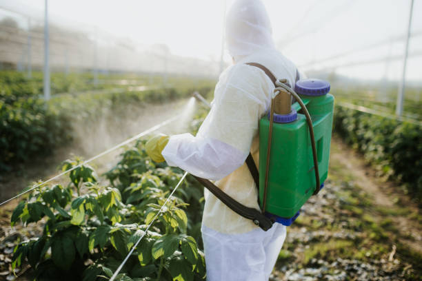 Best Commercial Pest Control Services  in Silver Lakes, CA